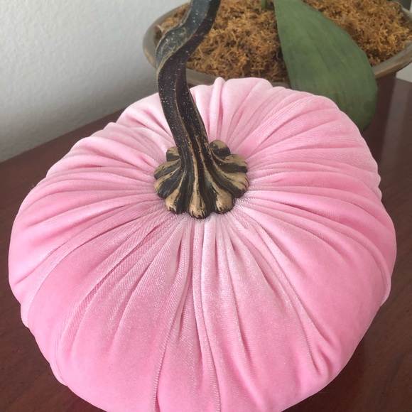 Pumpkin, large pink velvet pumpkin. Beautiful. Will add grace to your home decor - Picture 2 of 5